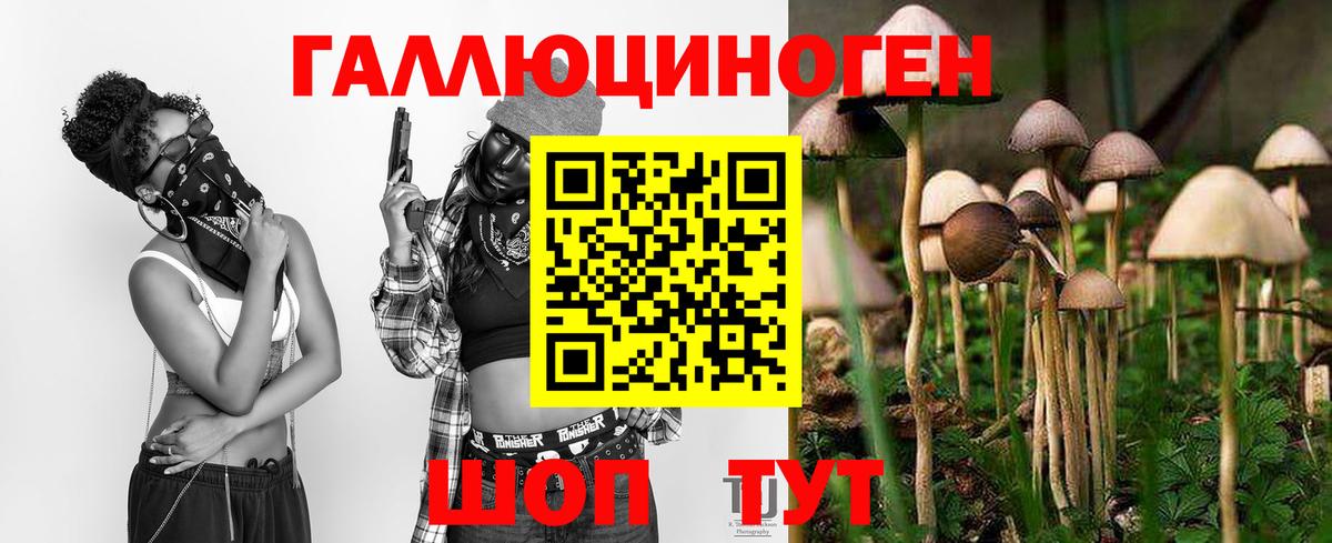 Кохма  Псилоцибиновые грибы Psilocybine cubensis  Вход с VPN  Галлюциногенные грибы Magic Shrooms 